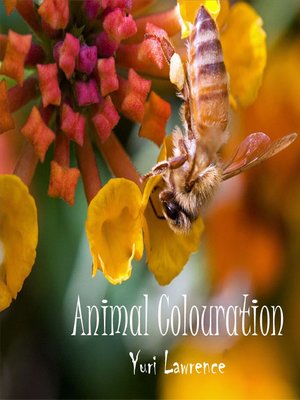 cover image of Animal Colouration